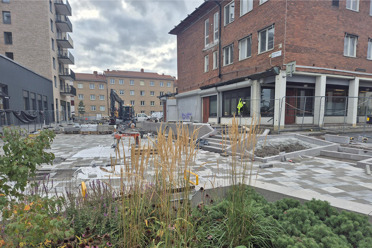 Ett torg med växter i förgrunden